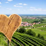 Palatina - Auszeit In Der Suedpfalz 아파트