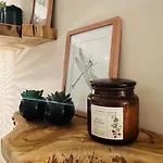 Palatina - Auszeit In Der Suedpfalz 아파트 *